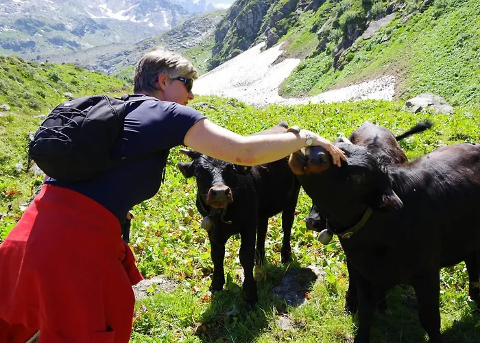 L'echappee Belle * 베르비에